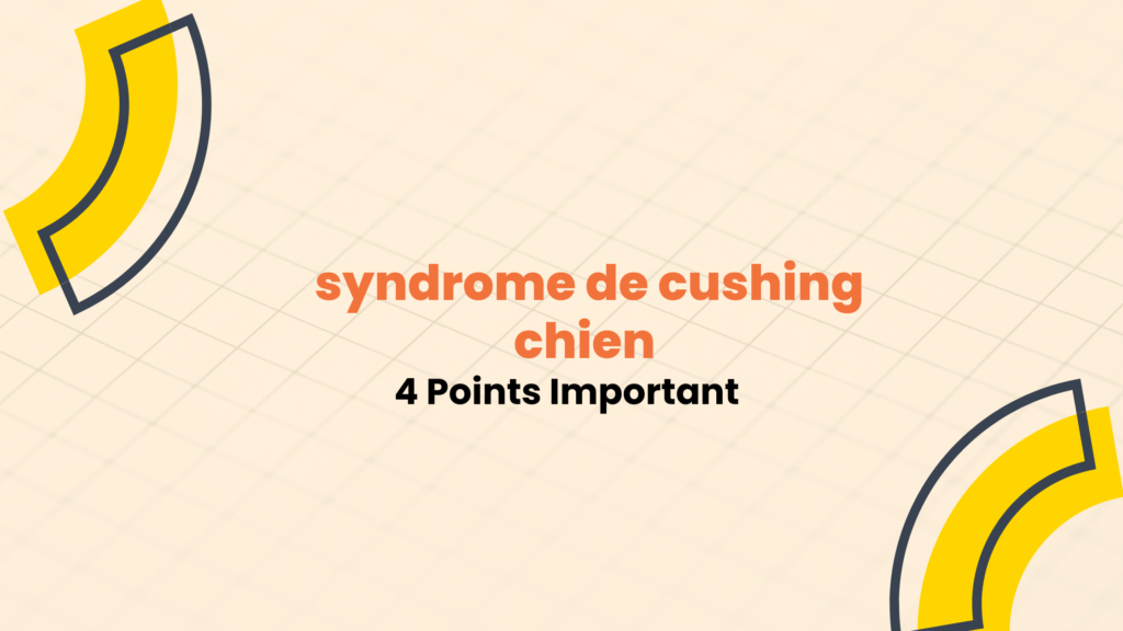 syndrome de cushing chien | 4 Points Important